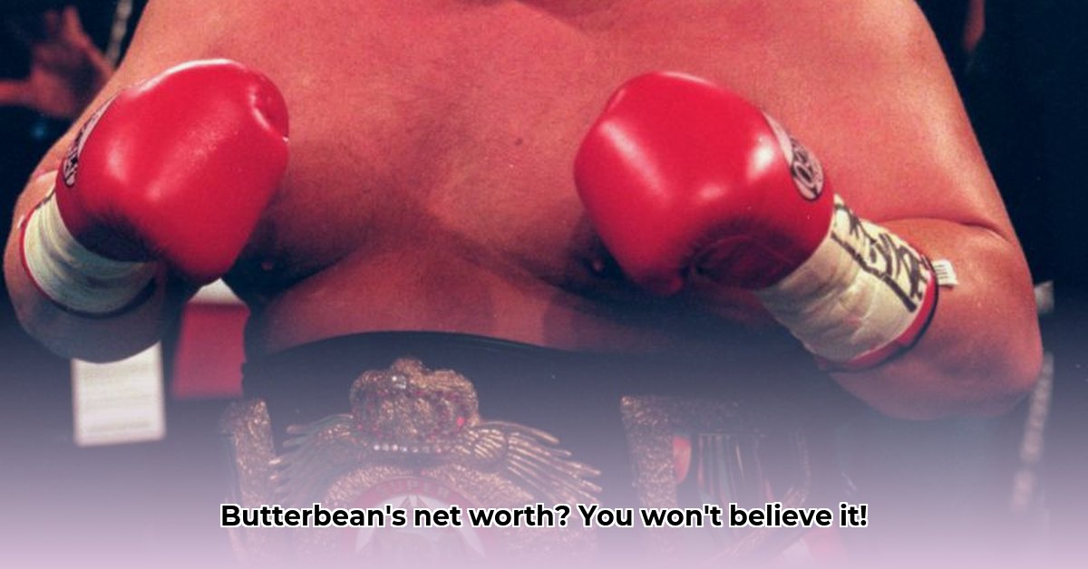butterbean-boxer-net-worth